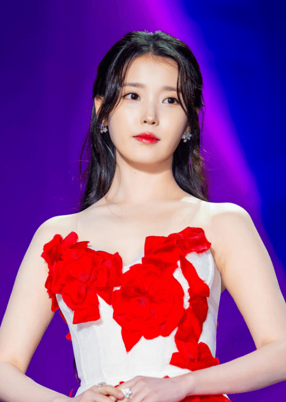무대에서 노래하는 가수 아이유 사진
