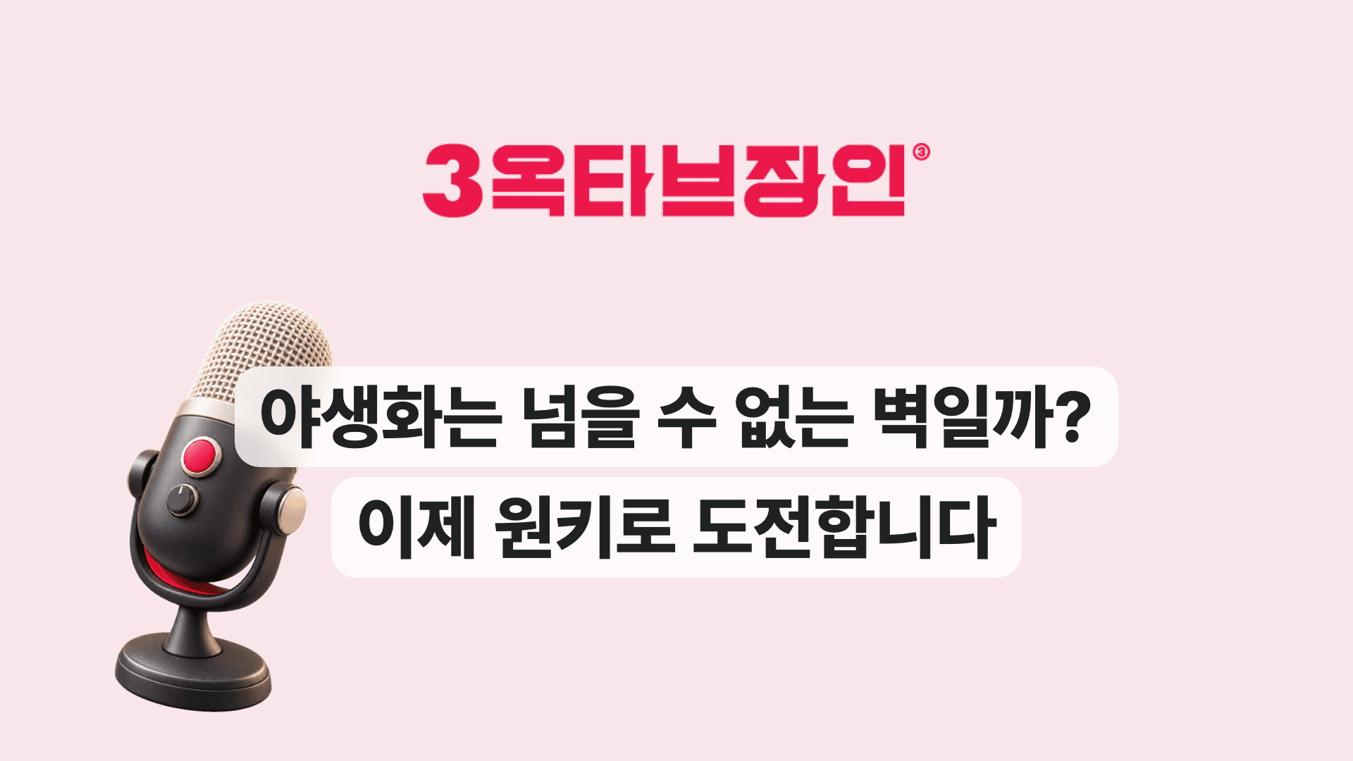 야생화는 넘을 수 없는 벽일까? 이제 원키로 도전합니다