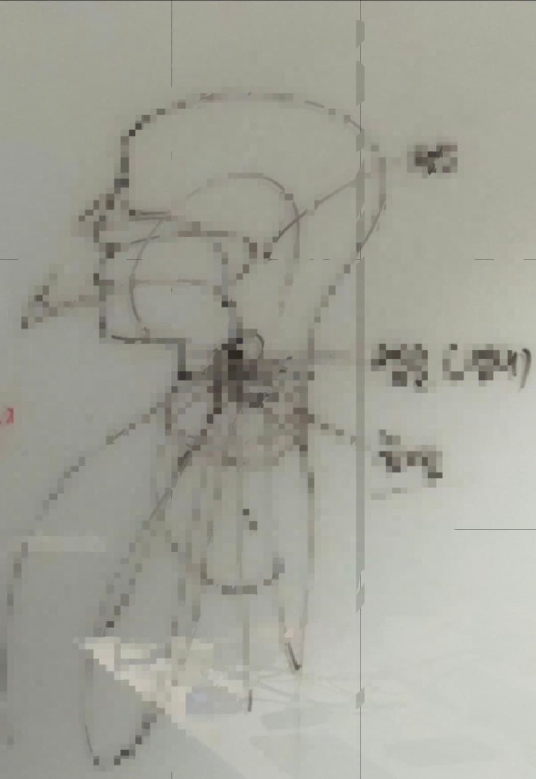 보컬 수업에서 설명을 위해 그린 발성 그림