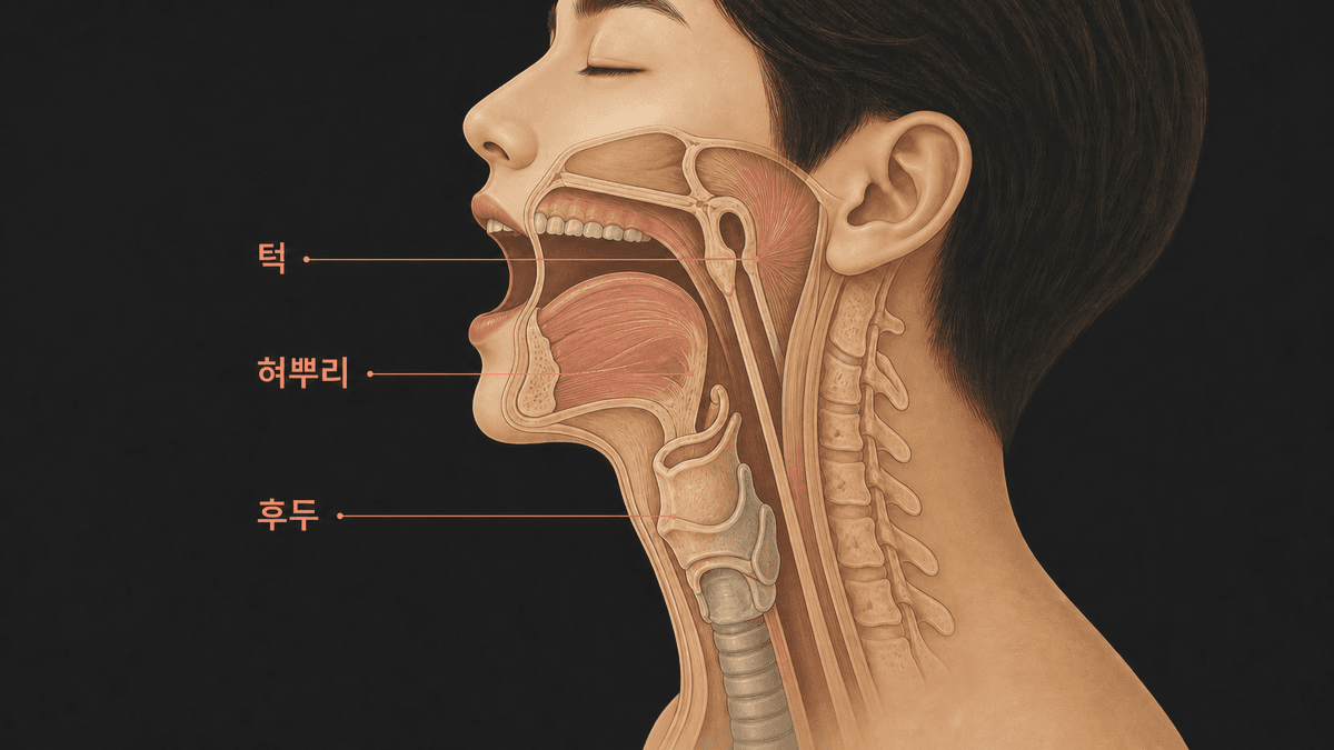 강사가 고음을 부르는 수강생의 목 주변 힘을 점검하는 보컬 레슨 장면