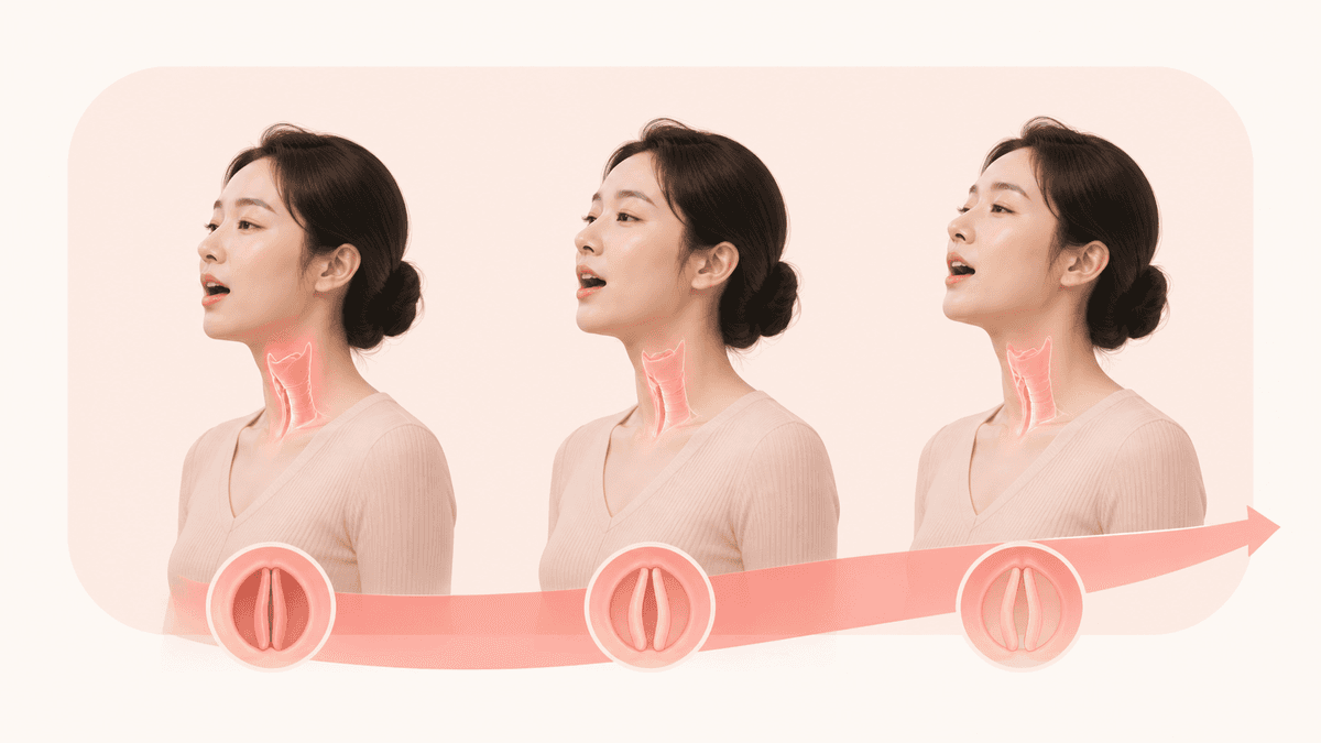 흉성과 두성 사이에서 무게와 성대 접촉이 연속적으로 달라지는 믹스보이스
