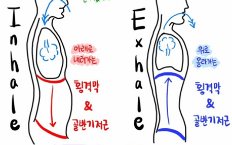 연축성발성장애 30년, 음성치료와 보이스 트레이닝 뒤 시작한 수업 원문 이미지 2