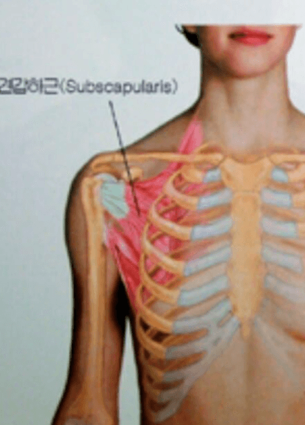 연축성발성장애, 보톡스 상담 전에 살펴본 발성 수업 기록 원문 이미지 2